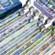 27 Rolls Washi Tape Set - Monet Gold Foil Vintage Decorative Masking Tape,Adhesi