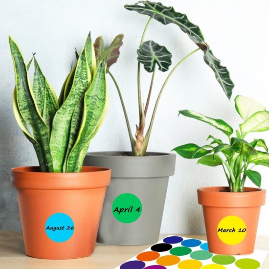 Dot Label Stickers 2 Inch 500 Large Circle Colored Round Self-Adhesive Solid