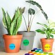 Dot Label Stickers 2 Inch 500 Large Circle Colored Round Self-Adhesive Solid
